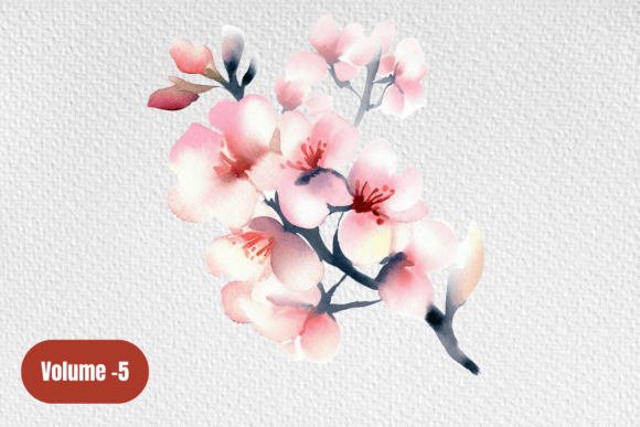 Download Cherry Blossom Pink Watercolor Clipart - Watercolor Collection