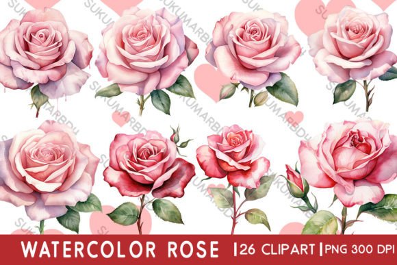 Download Watercolor Rose Clipart - Watercolor Collection