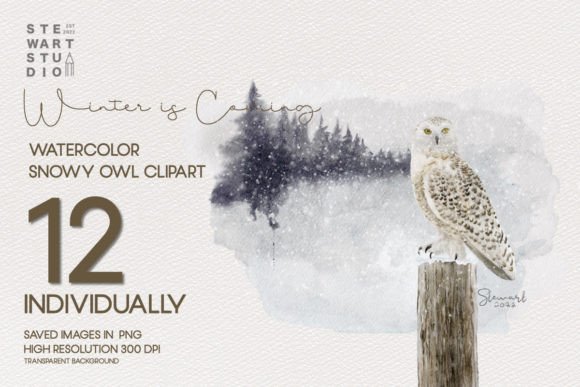 Download Watercolor Snowy Owls Clipart - Watercolor Collection